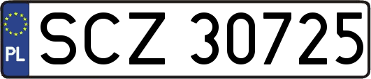 SCZ30725