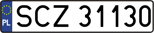 SCZ31130