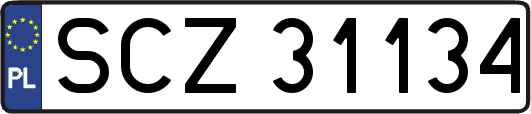 SCZ31134