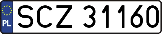 SCZ31160