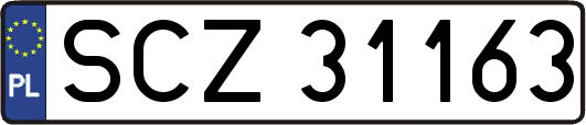SCZ31163