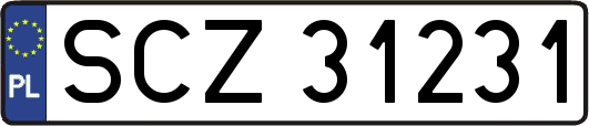 SCZ31231