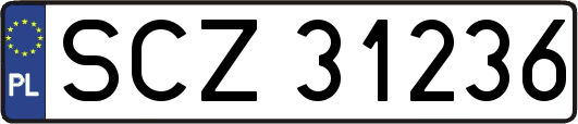 SCZ31236