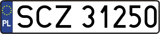 SCZ31250