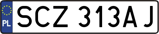 SCZ313AJ