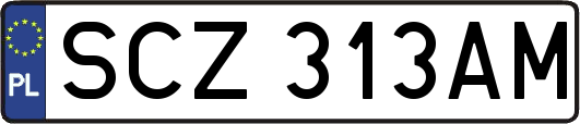 SCZ313AM