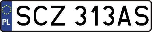 SCZ313AS