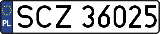 SCZ36025