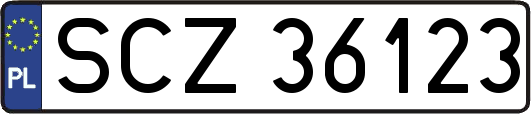 SCZ36123