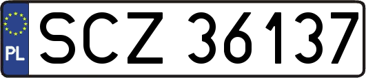 SCZ36137