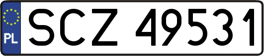 SCZ49531