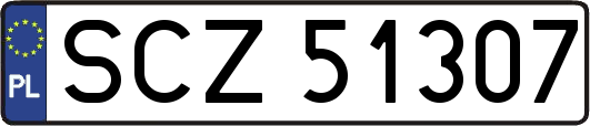 SCZ51307