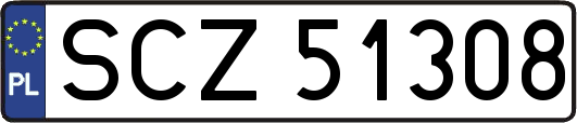 SCZ51308