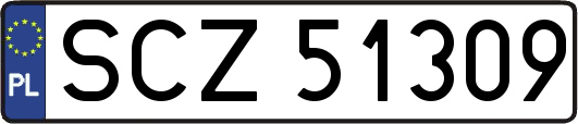 SCZ51309