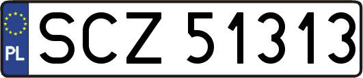 SCZ51313