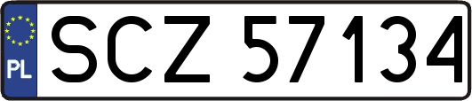 SCZ57134