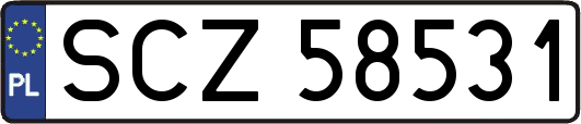 SCZ58531