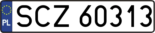 SCZ60313
