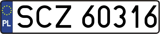 SCZ60316