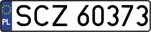 SCZ60373