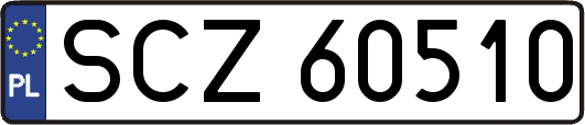 SCZ60510