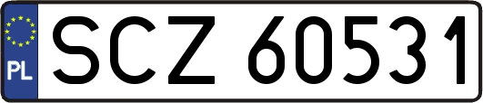 SCZ60531