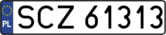 SCZ61313
