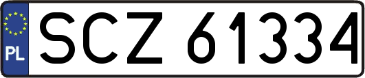 SCZ61334