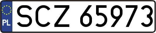 SCZ65973
