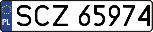 SCZ65974