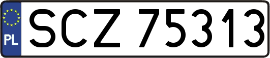 SCZ75313
