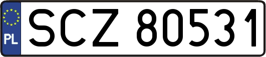SCZ80531