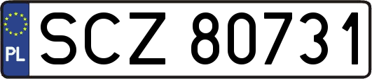 SCZ80731