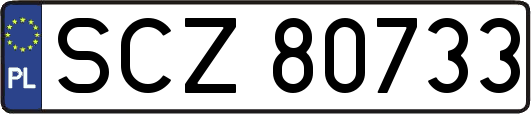 SCZ80733
