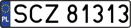 SCZ81313