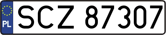 SCZ87307