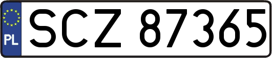 SCZ87365