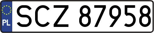 SCZ87958