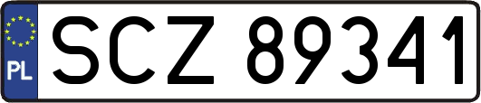 SCZ89341