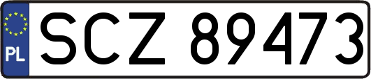 SCZ89473