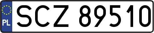 SCZ89510