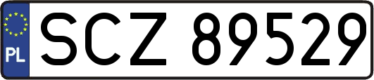 SCZ89529