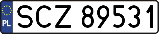 SCZ89531