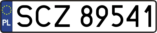 SCZ89541