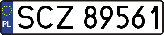 SCZ89561