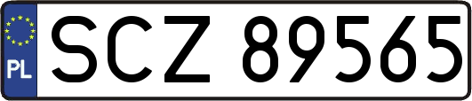 SCZ89565