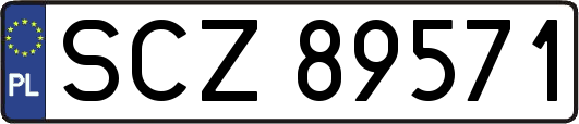 SCZ89571