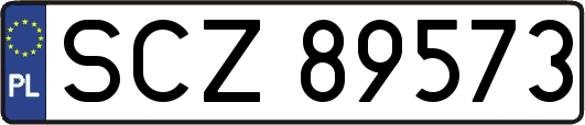 SCZ89573