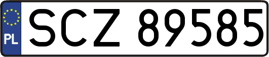 SCZ89585