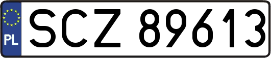 SCZ89613